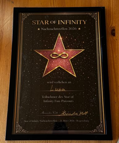 Weisser Schweizer Schäferhund, Urkunde: Star of Infinity