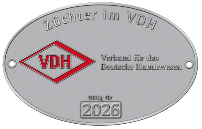 VDH Zuchtstätte Star of Infinity – Weiße Schweizer Schäferhunde aus kontrollierter VDH / FCI Zucht